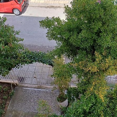 Savvas Aparthotel โอลิมเปียกี อักติ ภายนอก รูปภาพ